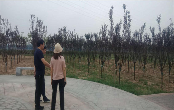 1592789805(1).png 1592789805(1).png
